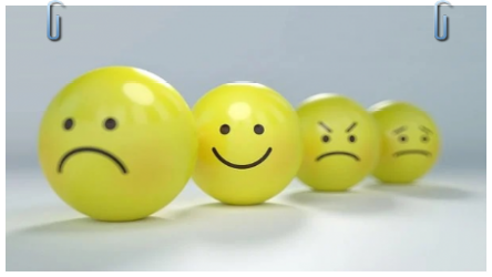 Las Emociones Básicas Las Emociones Básicas